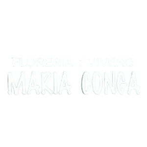 Florería Maria Conga